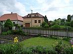 Třibřichy